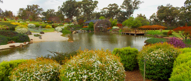 Take time to explore the Cowra Japanese Garden and experience its tranquillity and beauty